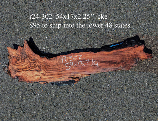 Redwood burl slab | Burl slab | Epoxy River Table | DIY Wood | r24-302