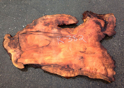 Redwood Burl Slab | DIY craft wood | live Table | Redwood | R24-382