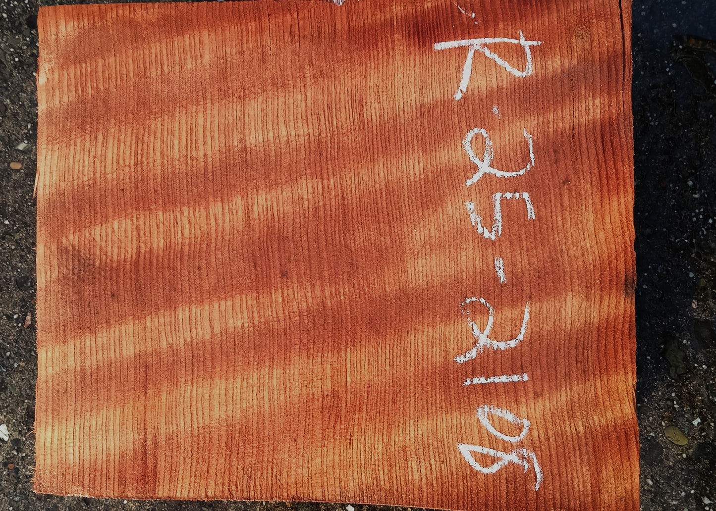 Curly Redwood | Turning Block | Craft Wood | R25-2108