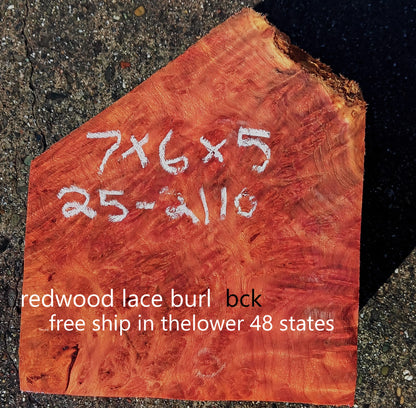 Redwood Lace Burl | Turning Blank | Craft Wood | R25-2110