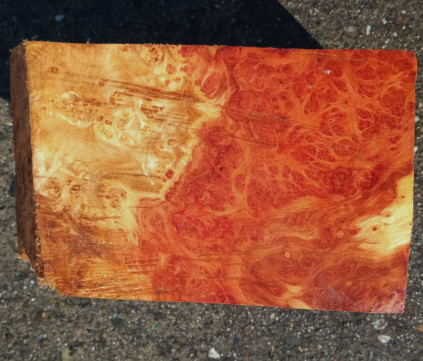 Redwood Lace Burl | Turning Blank | Craft Wood | R25-2110