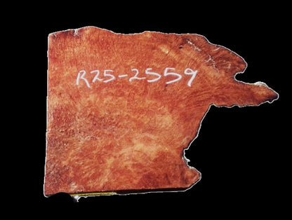Redwood Lace Burl | Craft Wood | Table | DIY | R25-2559