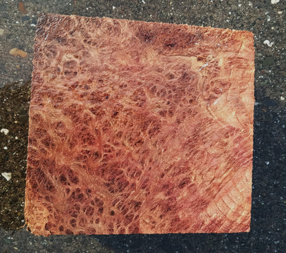 Redwood Lace Burl | Turning block | Craft Wood | R25-2079