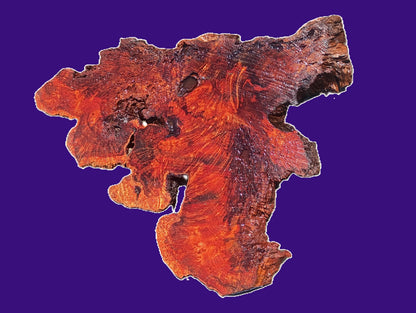 Redwood Lace Burl | DIY | Epoxy Resin Idea | R25-3206