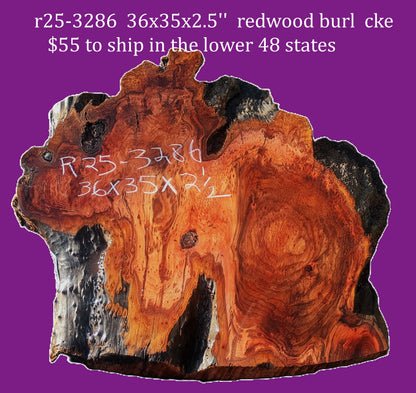 Redwood burl slab | DIY | burl table | river table | craft wood | r25-3286