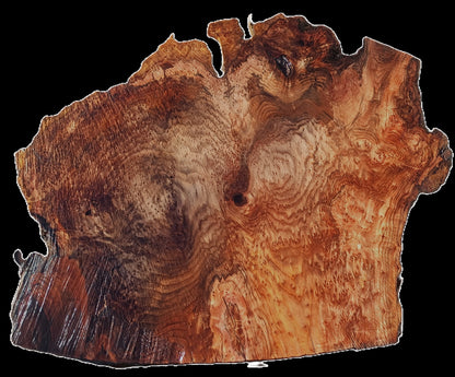 Redwood Burl | DIY | River Table | Live Edge | R25-3286