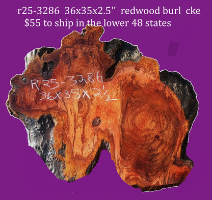 Redwood burl slab | DIY | burl table | river table | craft wood | r25-3286
