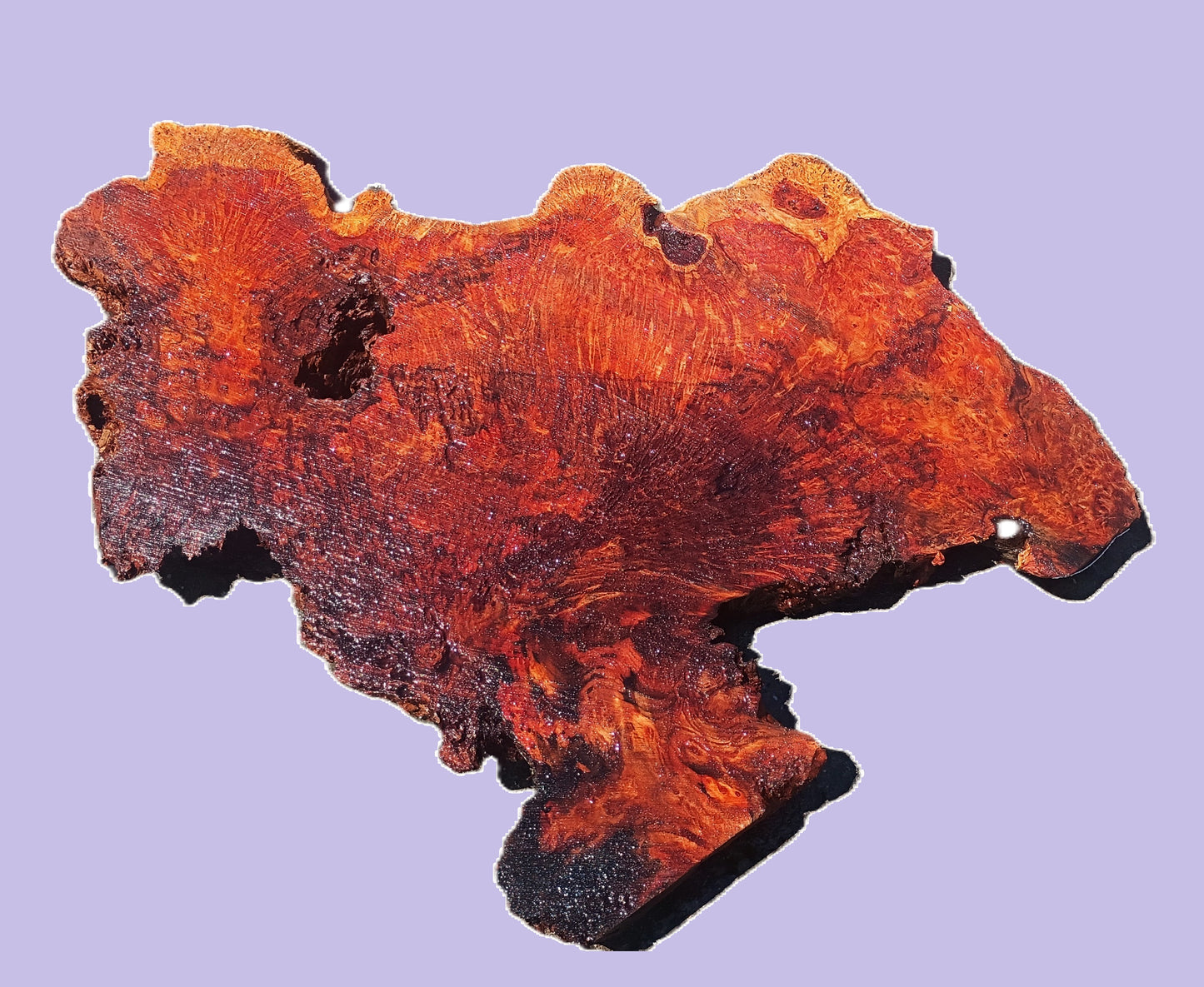 Redwood Lace Burl | DIY | Epoxy Resin Idea | R25-3207