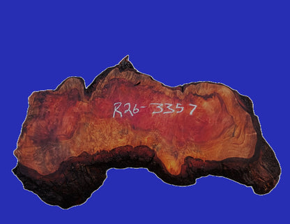 Redwood Lace Burl Slab | River Table | DIY | R26-3357