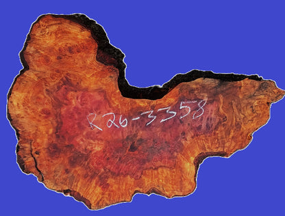 Redwood Lace Burl Slab | River Table | DIY | R26-3358