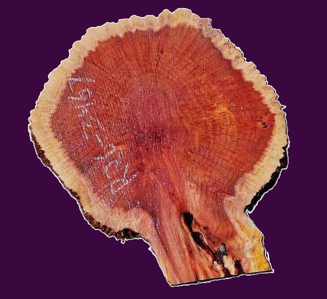 Redwood Cookie Cut slab | DIY | burl table | river table | craft wood | R26-3467