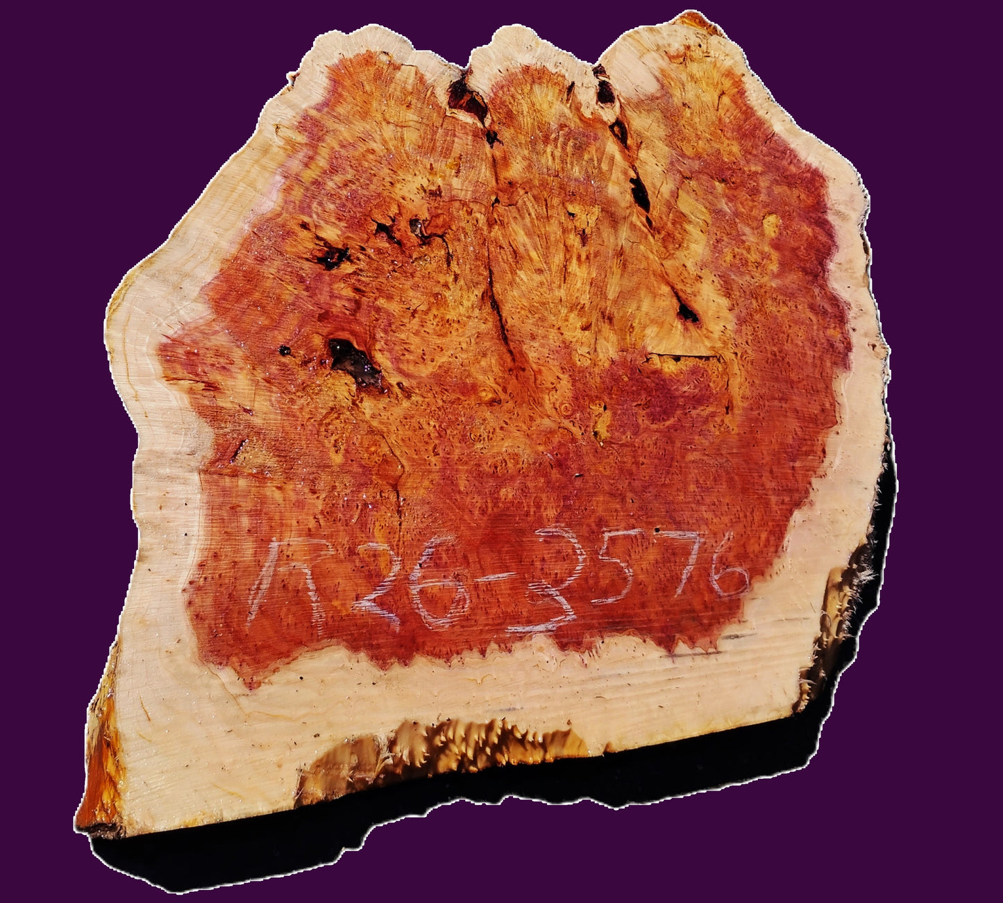 Redwood Lace | burl slab | DIY | Craft Wood | live edge | r26-3476