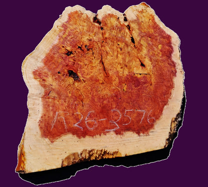 Redwood Lace | burl slab | DIY | Craft Wood | live edge | r26-3476