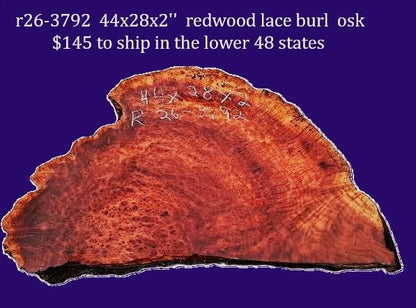 Rare Redwood Lace Burl | Redwood Slab | Redwood Burl | Craftwood | DIY | R26-3792