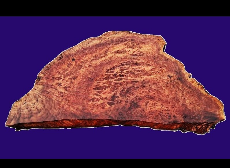 Rare Redwood Lace Burl | Redwood Slab | Redwood Burl | Craftwood | DIY | R26-3792