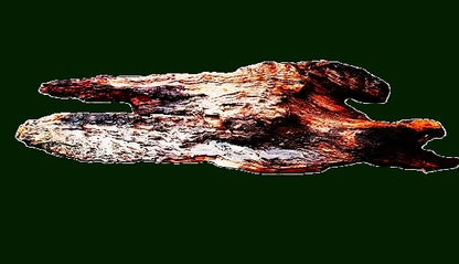 Redwood Burl Slab | 48" × 14" × 2" Live Edge | California Redwood | RCAP26-3915