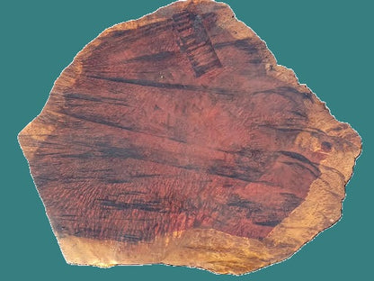 Redwood | DIY | Craft Wood | lace burl | RG26-3998