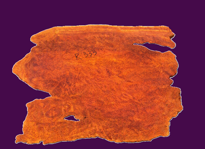 Redwood burl slab | DIY | Headboard| river table | R333