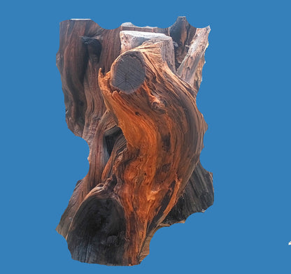 redwood base | root table base | live edge base |  rbase26-0001