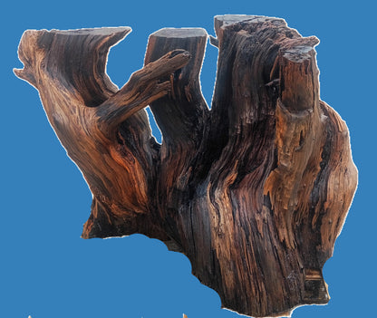 redwood base | root table base | live edge base |  rbase26-0001