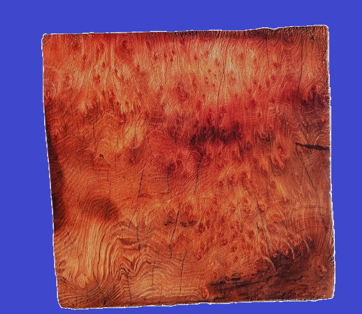 Redwood Bowl Blank | Redwood Burl | Wood Turning | DIY Craft Wood |RBL23-1128