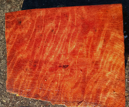 Curly Redwood | Turning block | Craft Wood | RBL24-1710