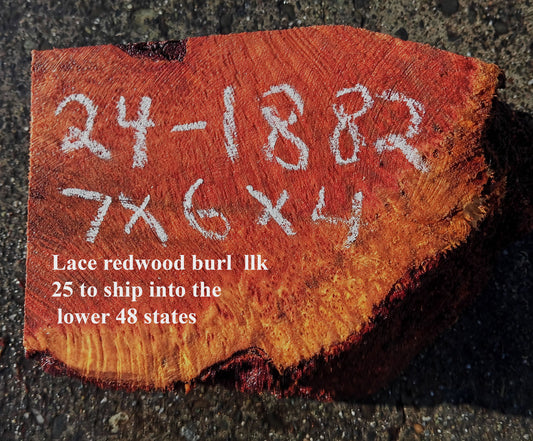 Redwood Burl | Turning block | Craft Wood | R24-1882