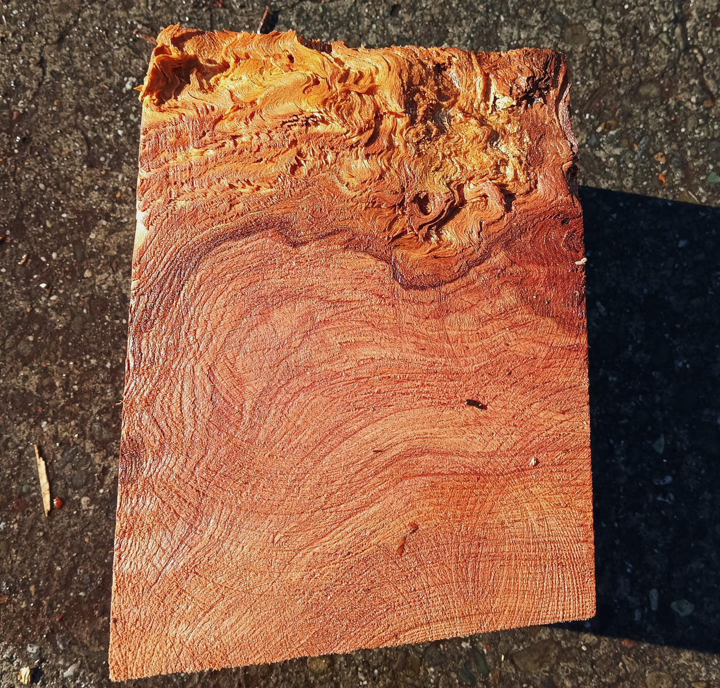 Curly Redwood Block | Turning | DIY Craft Wood | R24-1807