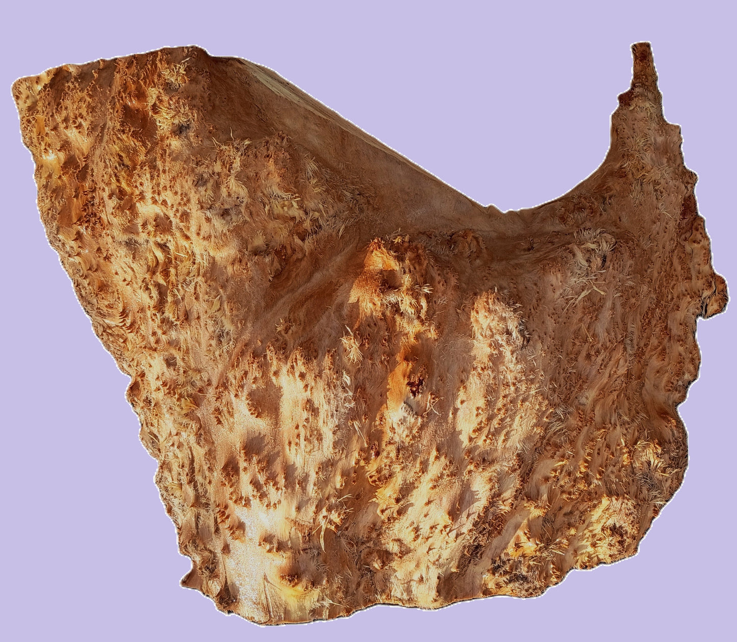 Redwood Lace Burl | DIY Crafts | Turning Block | RBL25-3332