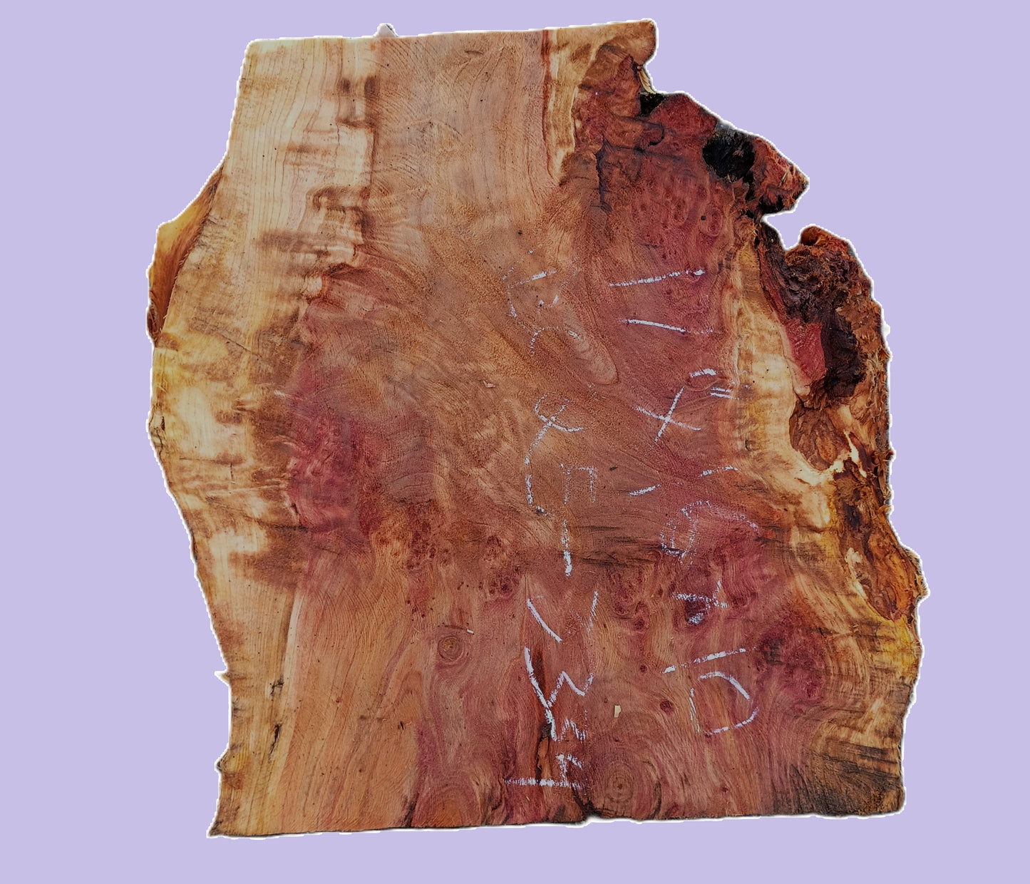 Redwood Burl Block | Turning Block | DIY | Craft Wood | RBL25-3334