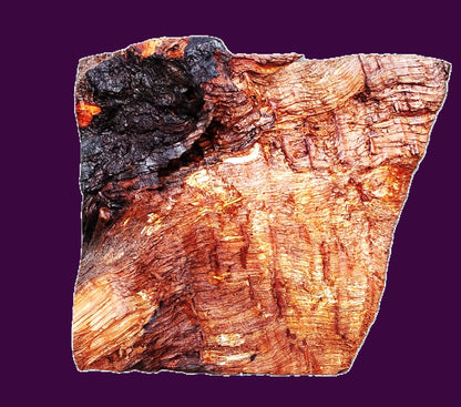 redwood Burl Block | Bowl Turning | DIY  | Craft-wood | rbl26-3508 (Copy)