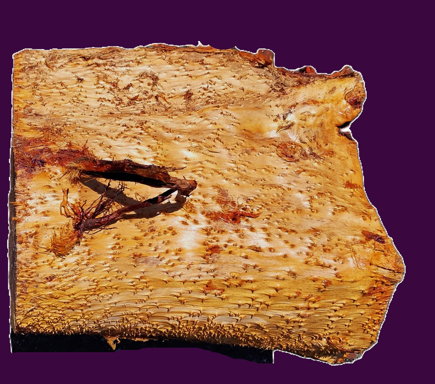 redwood lace Burl Block | Bowl Turning | O/G | DIY  | Craft-wood | rbl26-3501