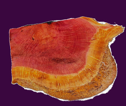 redwood lace Burl Block | Bowl Turning | DIY  | Craft-wood | rbl26-3502