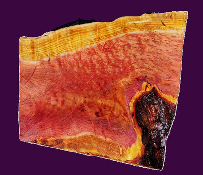 redwood lace Burl Block | Bowl Turning | DIY  | Craft-wood | rbl26-3502