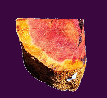 redwood Burl Block | Bowl Turning | DIY  | Craft-wood | rbl26-3506