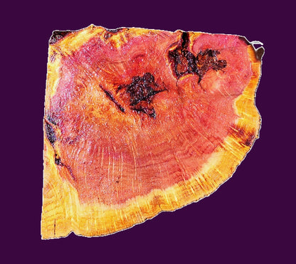 redwood Burl Block | Bowl Turning | DIY  | Craft-wood | rbl26-3506