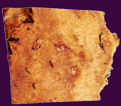 Redwood Lace Burl| bowl turning | DIY | Craft Wood | live edge | rbl-3581