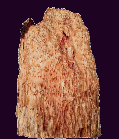 Redwood Lace Burl Cap | bowl turning | DIY | Craft Wood | live edge | rbl26-3791