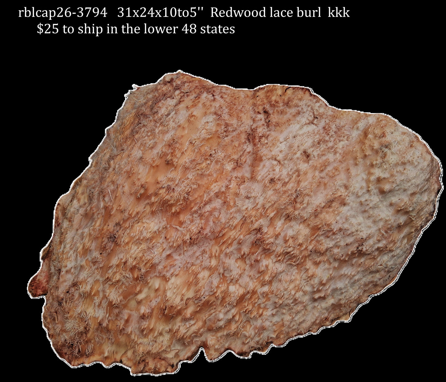 Redwood Lace Burl Cap | bowl turning | DIY | Craft Wood | live edge | rbl26-3794