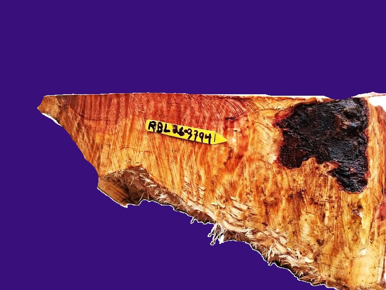 Redwood Lace Burl Cap | bowl turning | DIY | Craft Wood | live edge | rbl26-3794