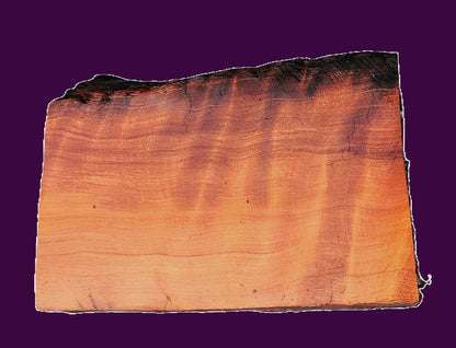Redwood Burl Cap | bowl turning | DIY | Craft Wood | live edge | rbl26-3548