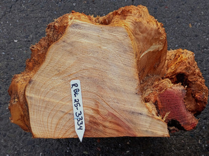 Redwood Burl Block | Turning Block | DIY | Craft Wood | RBL25-3334