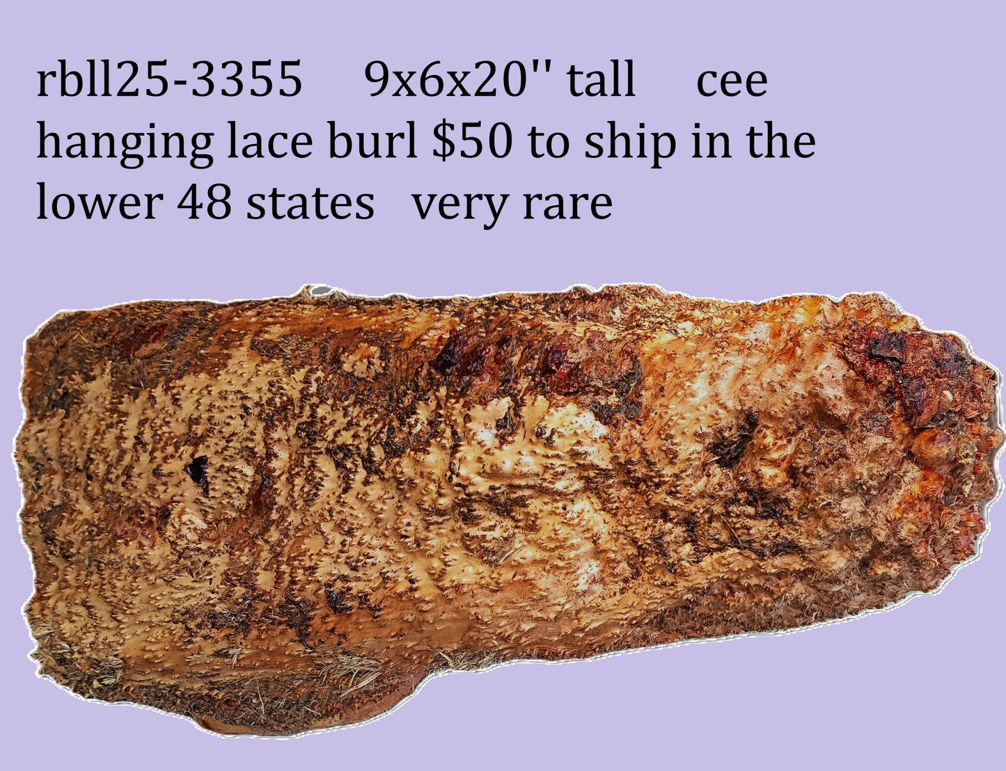 Redwood Hanging Lace Burl | DIY Crafts | Turning Block | RBL25-3355