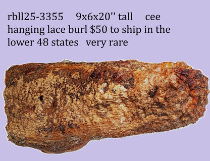 Redwood Hanging Lace Burl | DIY Crafts | Turning Block | RBL25-3355