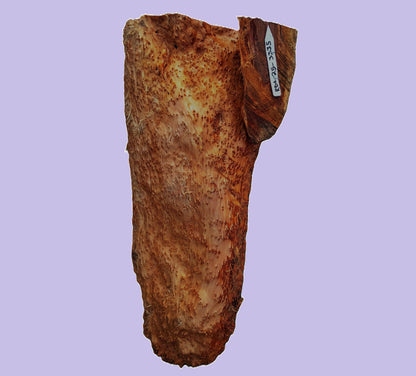 Redwood Hanging Lace Burl | DIY Crafts | Turning Block | RBL25-3355