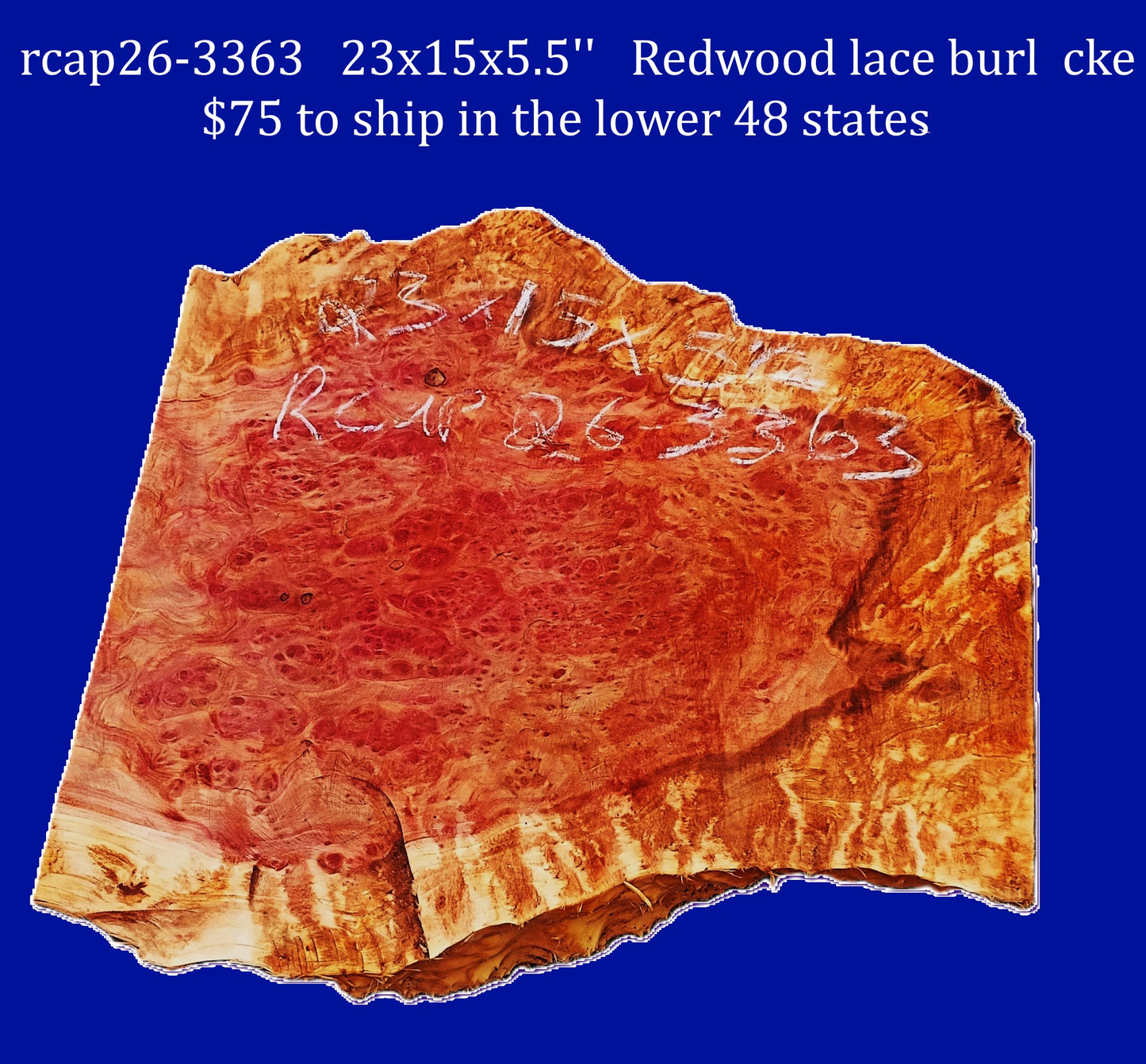 Redwood Lace Burl | burl slab | DIY | Craft Wood | live edge | rcap26-3363