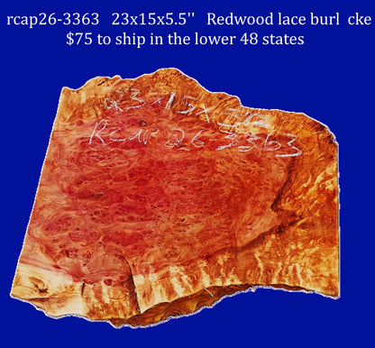 Redwood Lace Burl | burl slab | DIY | Craft Wood | live edge | rcap26-3363