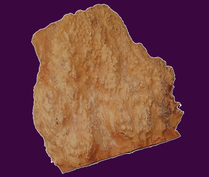 Redwood Lace Burl | burl slab | DIY | Craft Wood | live edge | rcap26-3363