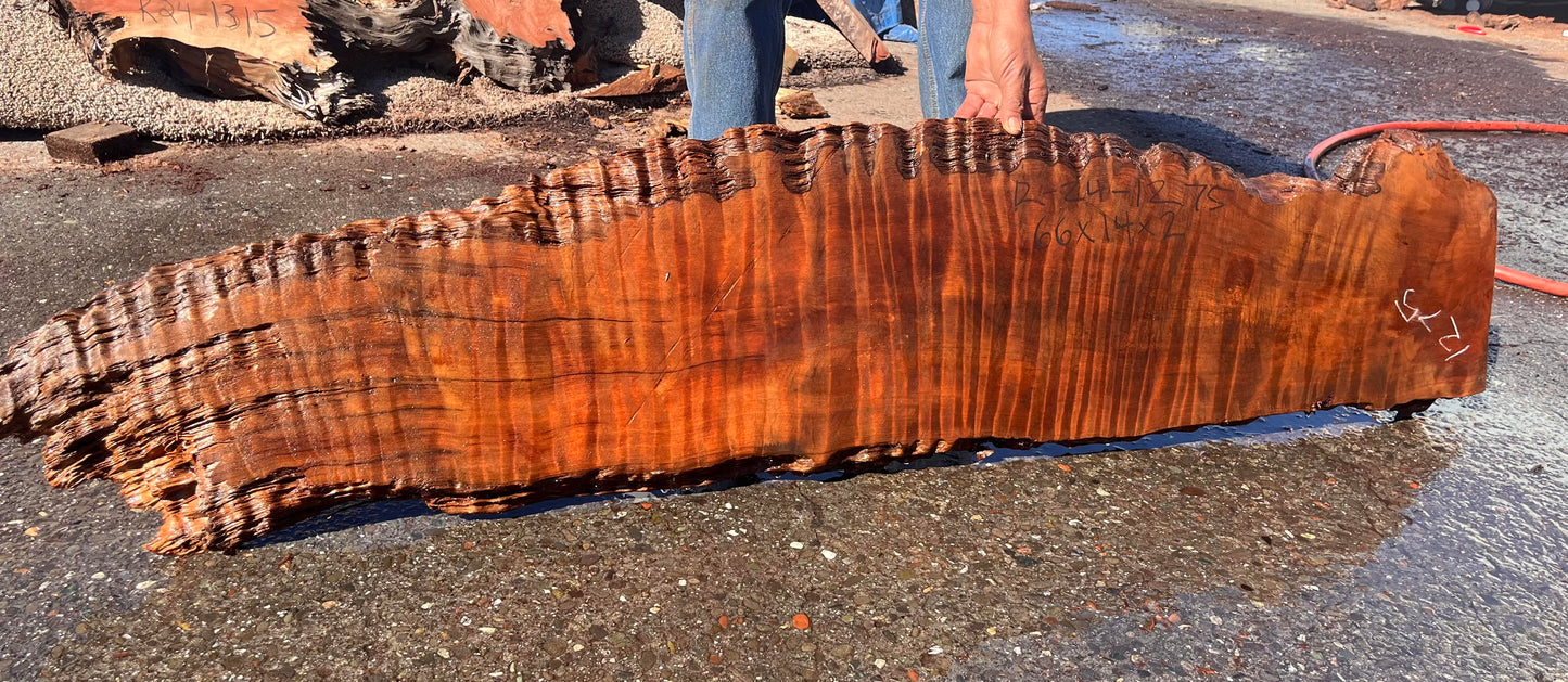 Curly Redwood Slab | Sofa Table | Guitar | DIY | r24-1275