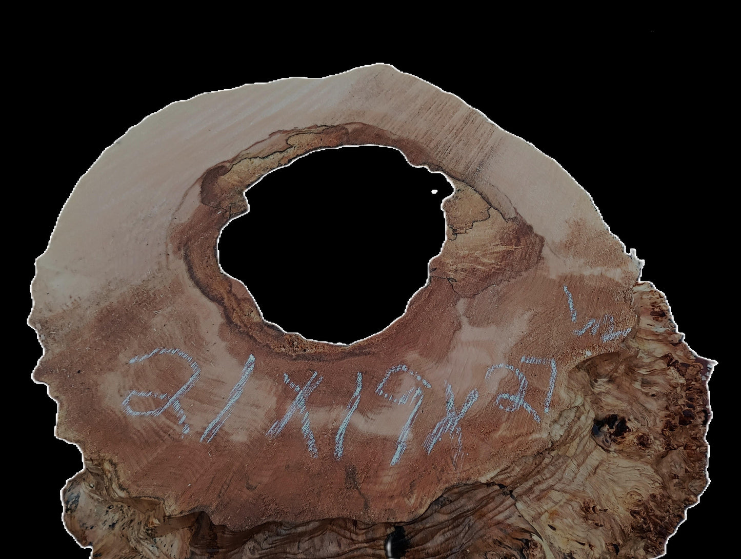 Maple Burl Base | Mount | Small Table Base | b25-3000